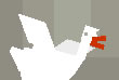 Chase-goose2-med